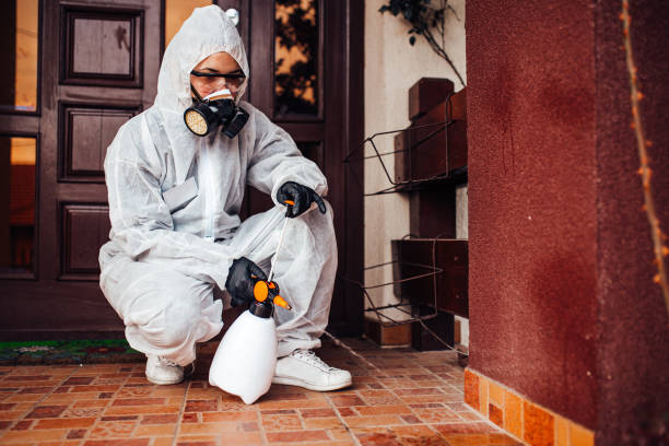 Attic and Crawl Space Rodent Treatment in Spencer